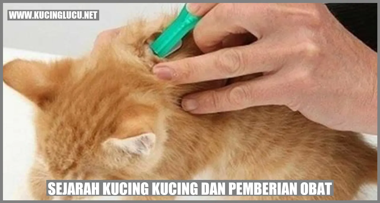 Sejarah Kucing Kucing dan pemberian obat