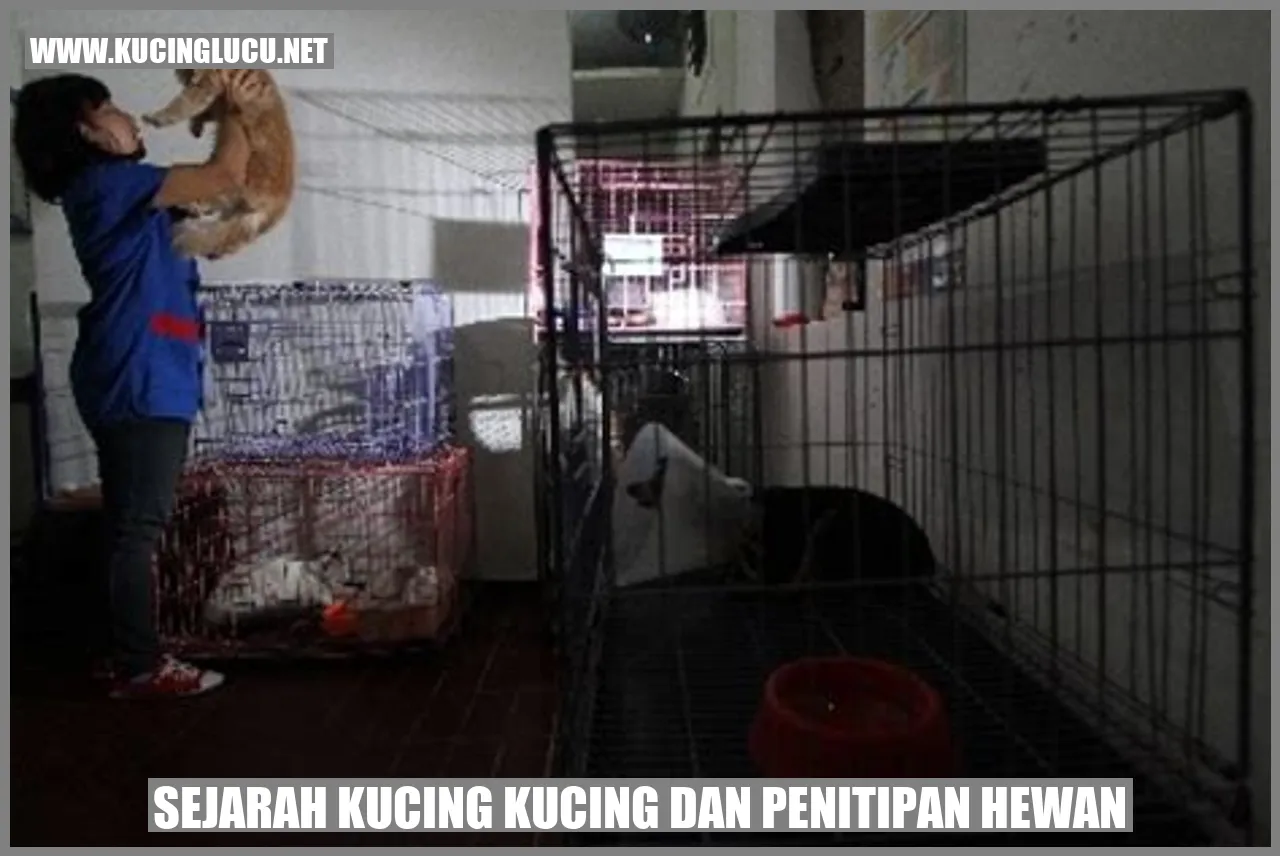 Sejarah Kucing dan Penitipan Hewan
