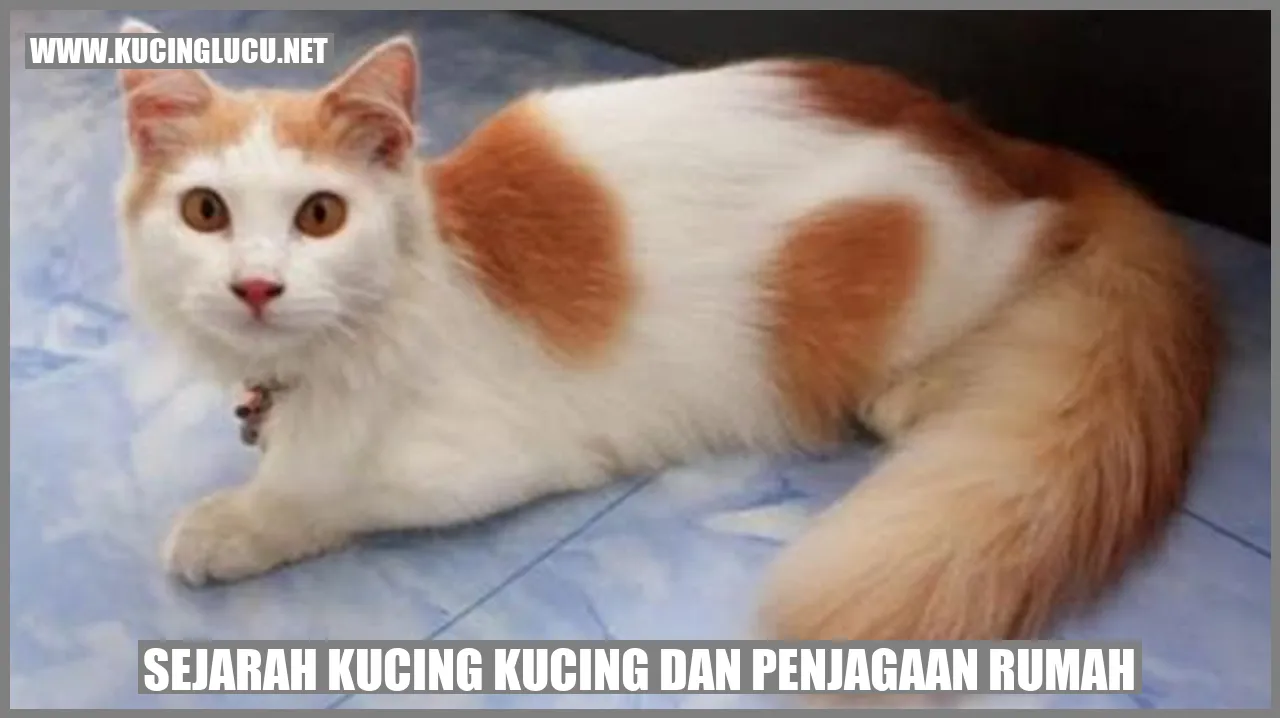 Sejarah Kucing Kucing dan Penjagaan Rumah