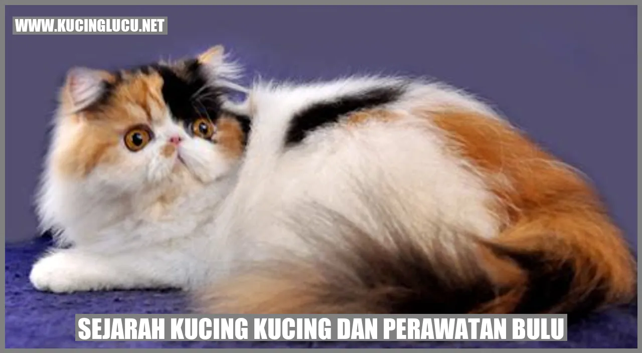 Gambar Kucing dengan Mantel yang Memesona
