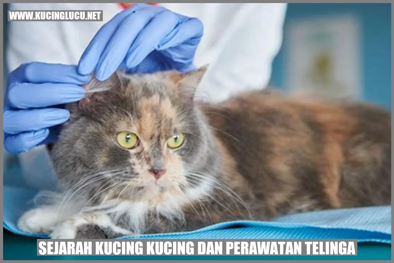 Gambar kucing menggemaskan