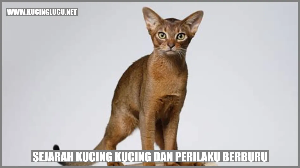 Gambar seekor kucing sedang berburu
