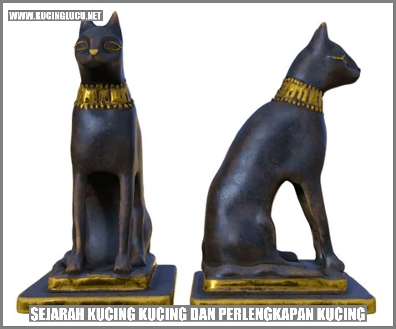Kucing dan Perlengkapan Kucing