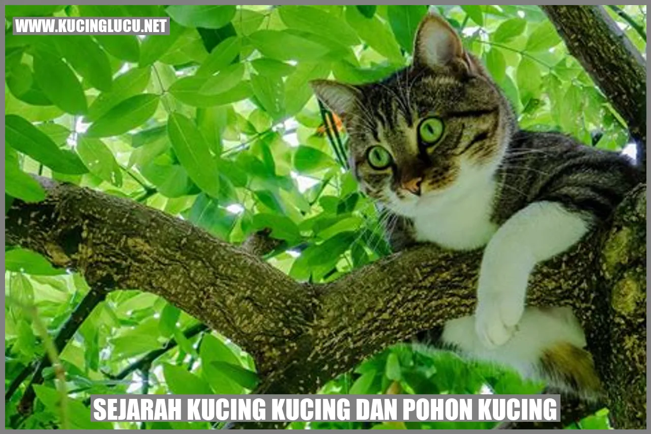 Gambar Kucing dan Pohon Kucing