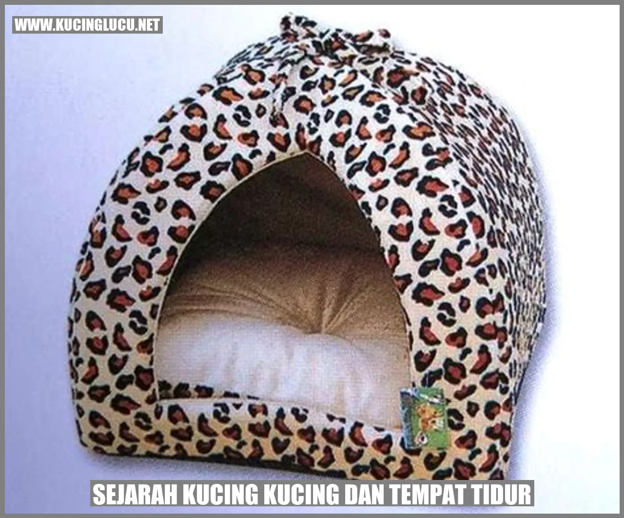Gambar Sejarah Kucing Kucing dan Tempat Tidur