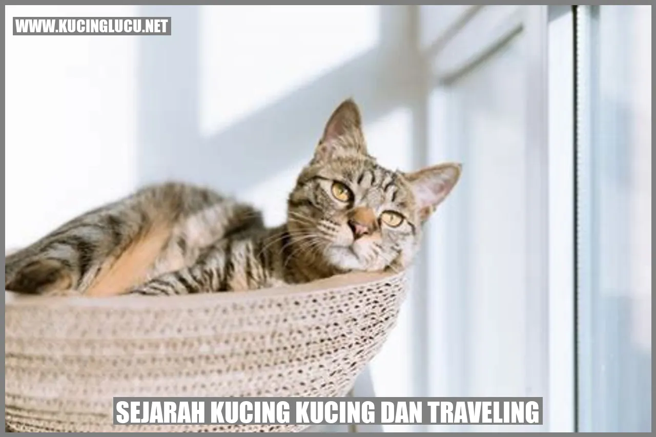 Sejarah Kucing Kucing dan Traveling