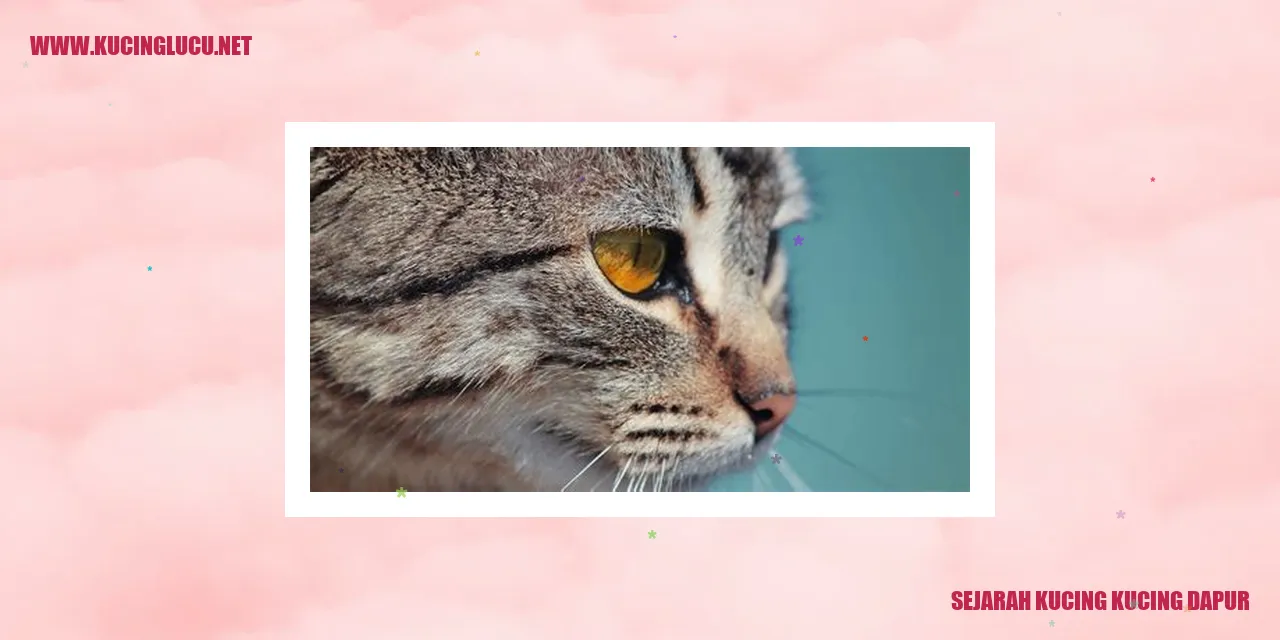 Gambar Sejarah Kucing Dapur
