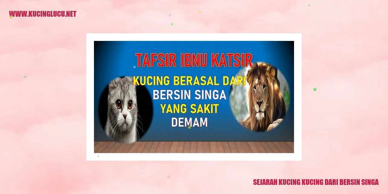 gambar kucing
