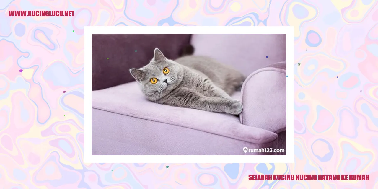 Sejarah Kucing kucing datang ke rumah