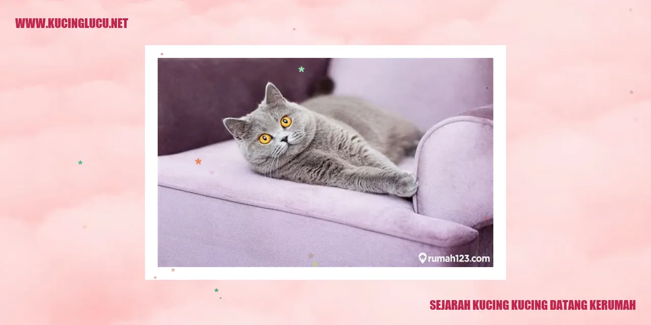 Ilustrasi Sejarah Kucing