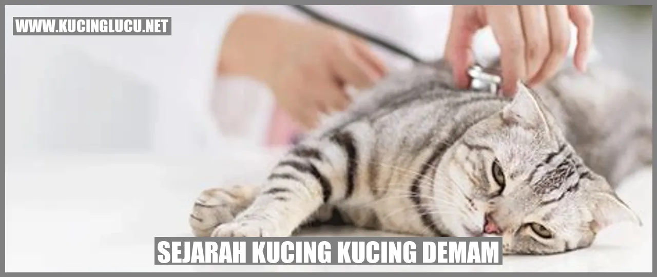 Sejarah Kucing Kucing Demam