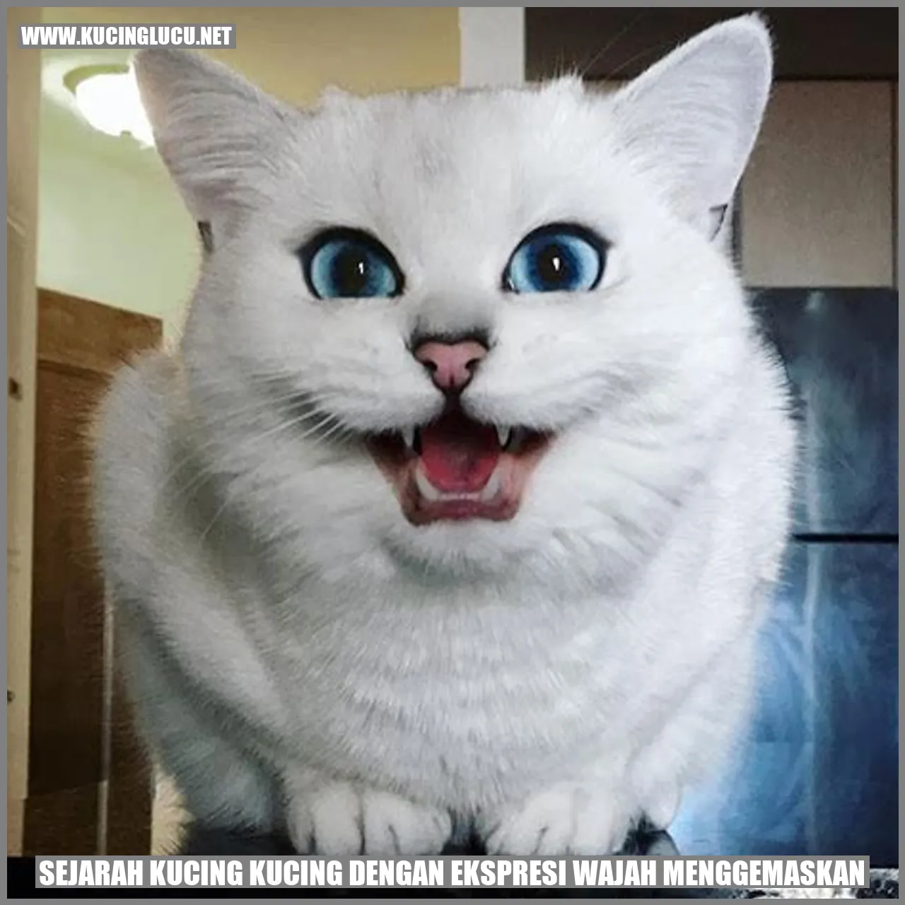 Kucing dengan Ekspresi Wajah Menggemaskan