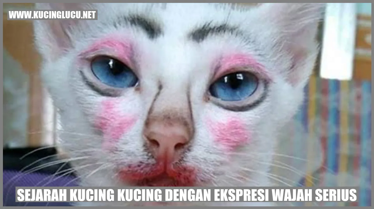 Kucing dengan Ekspresi Wajah Serius