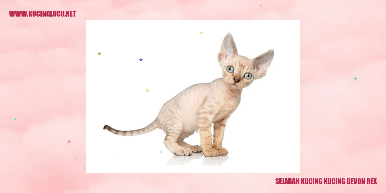 Gambar Kucing Devon Rex