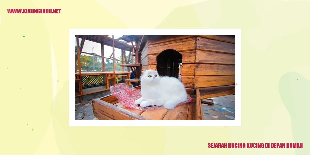 Keberadaan Kucing di Depan Rumah