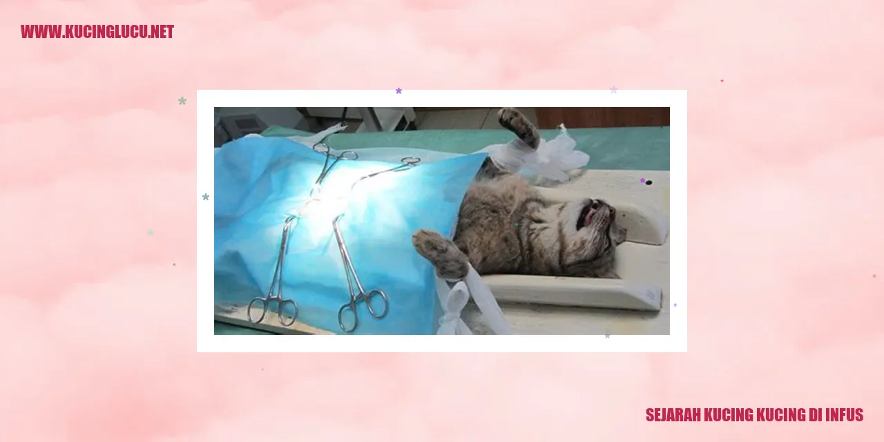 Sejarah Kucing-kucing di Infus