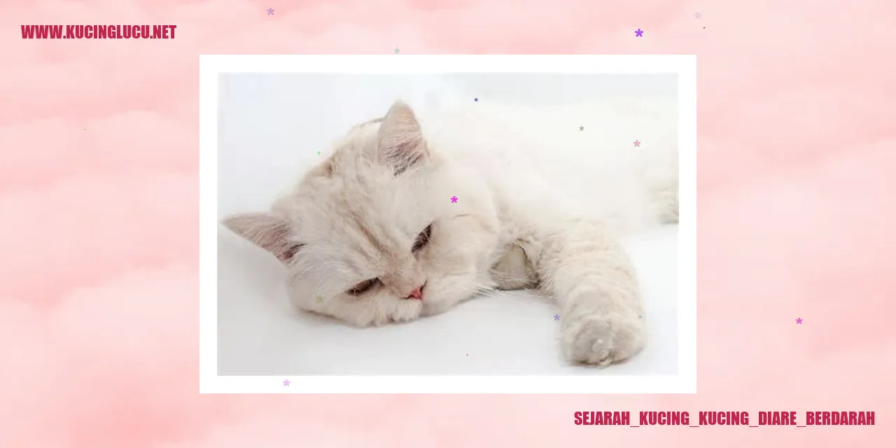 Sejarah Kucing dengan Diare Berdarah