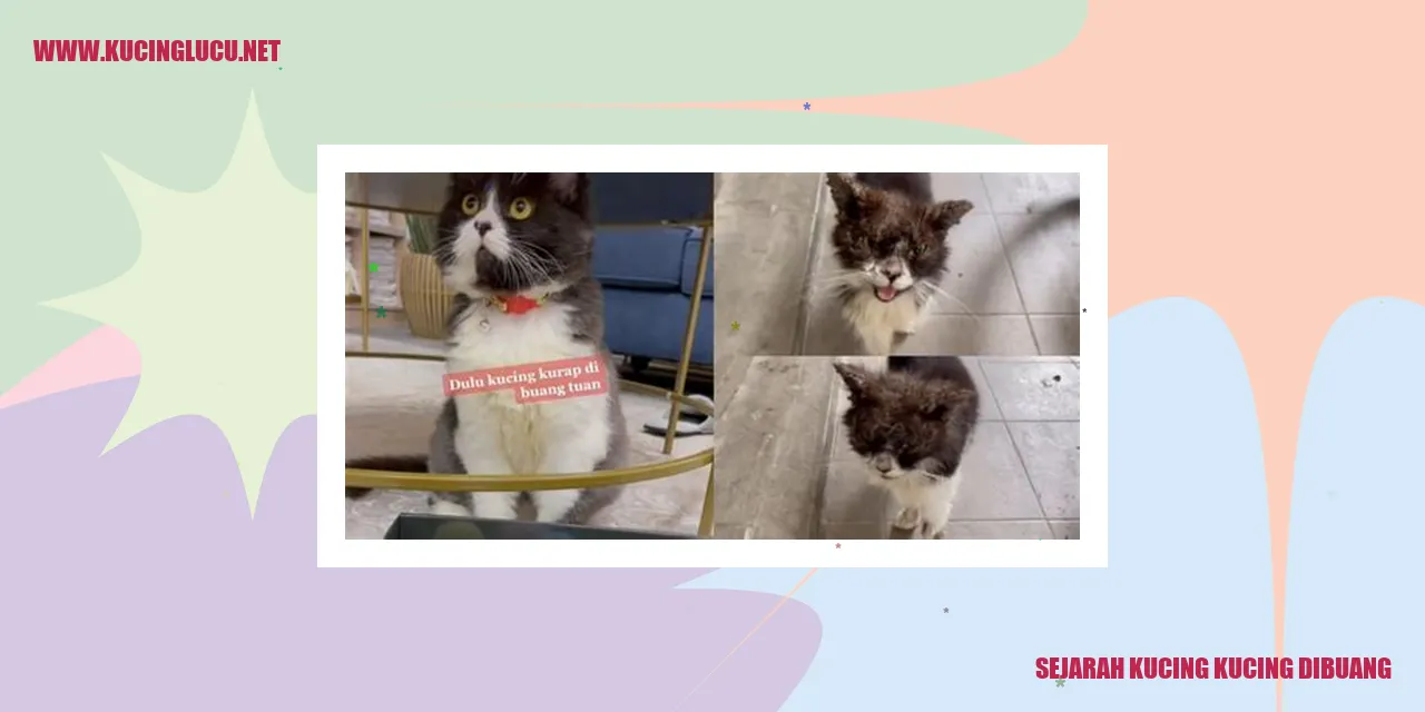 Sejarah Kucing kucing dibuang