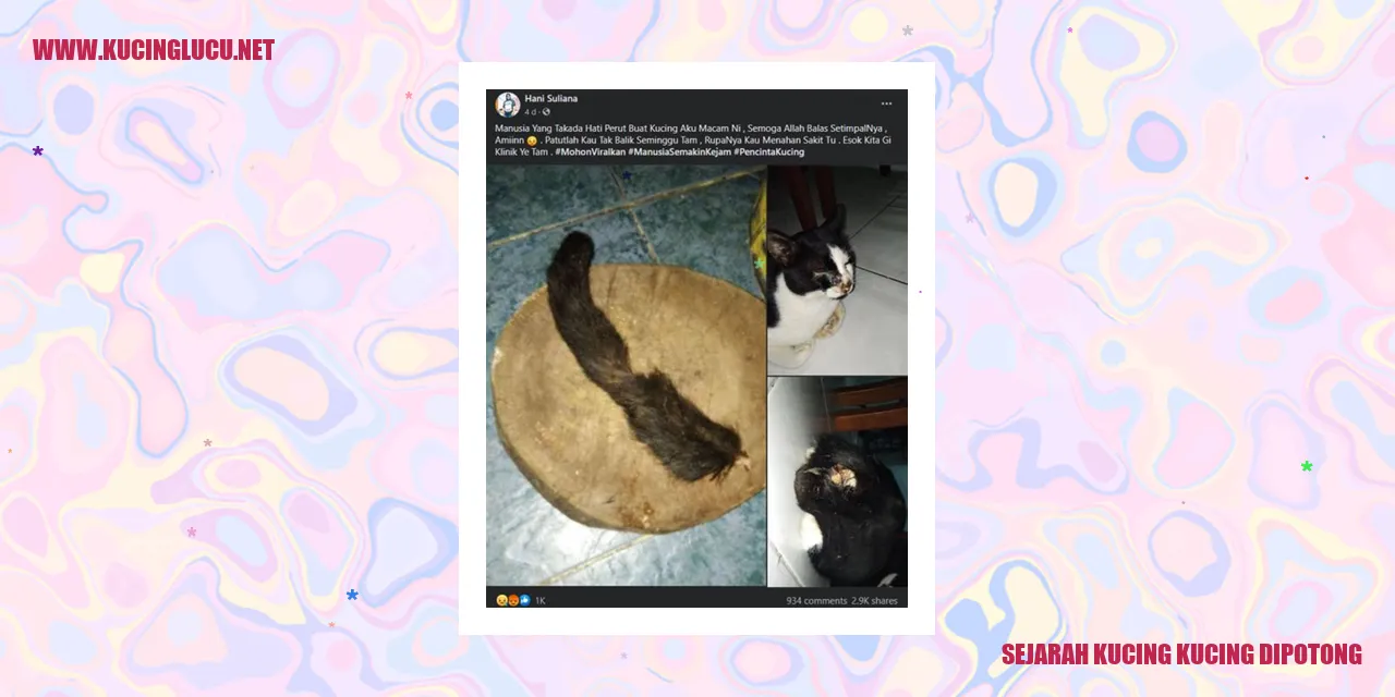 Kucing Dipotong