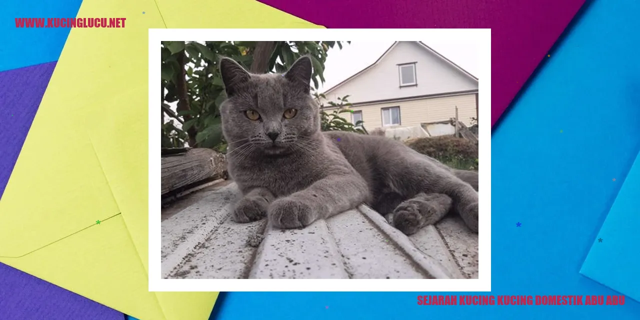 Sejarah Kucing Domestik Abu-abu