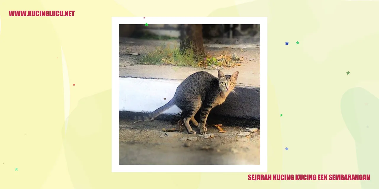 Sejarah Kucing Kucing Eek Sembarangan