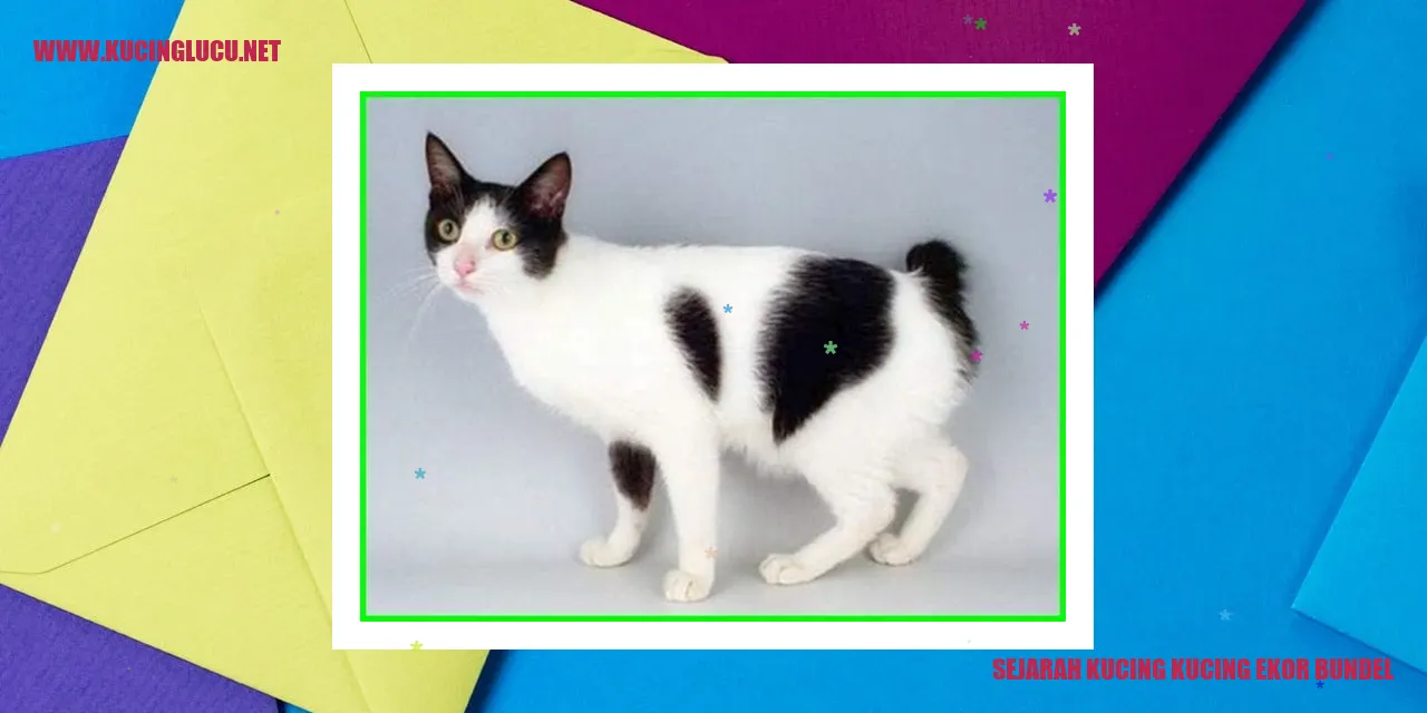 Kucing Kucing Ekor Bundel