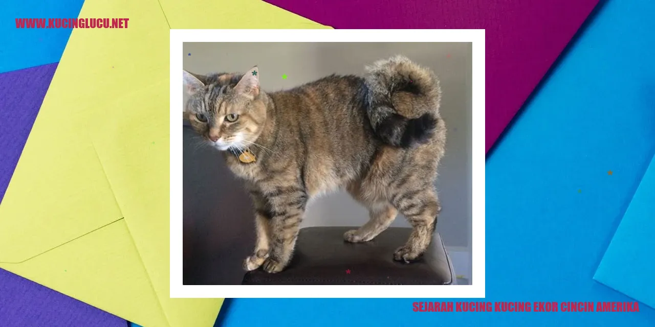 Gambar Kucing Ekor Cincin Amerika