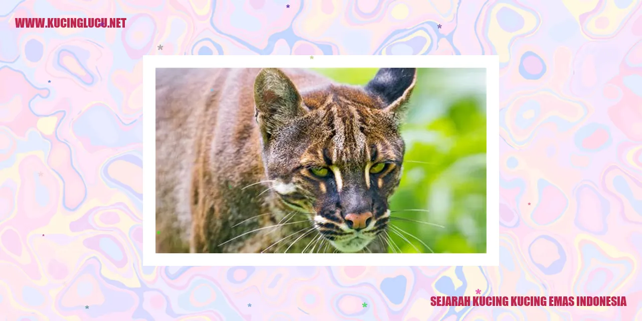 Kucing Emas Indonesia