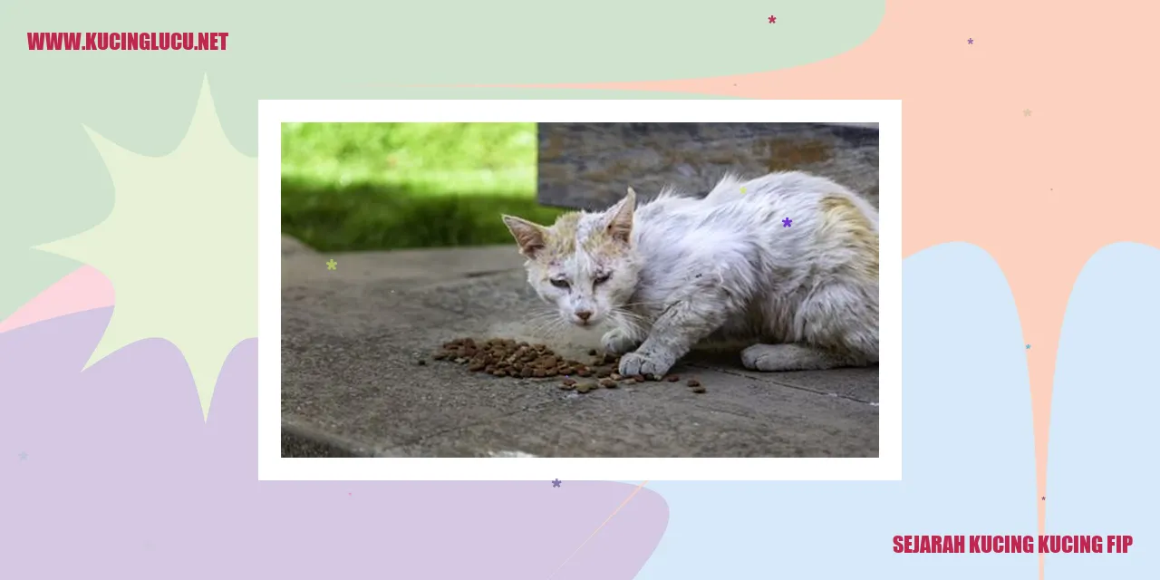 Gambar Penyakit FIP Pada Kucing