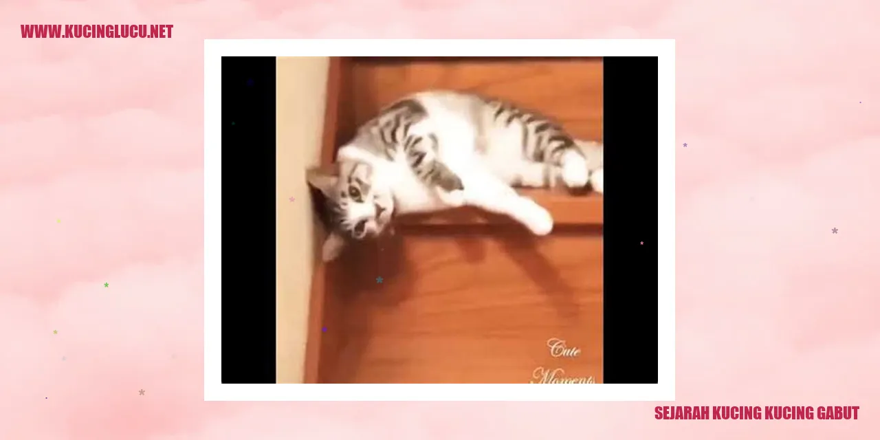 Gambar Kucing Gabut