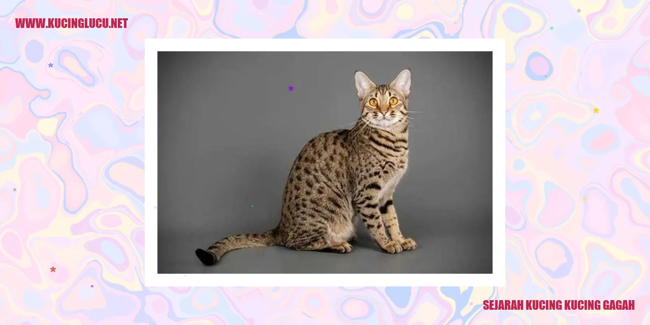 Sejarah Kucing Kucing Gagah
