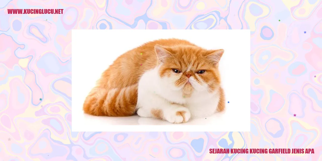 Kucing Garfield yang Menggemaskan