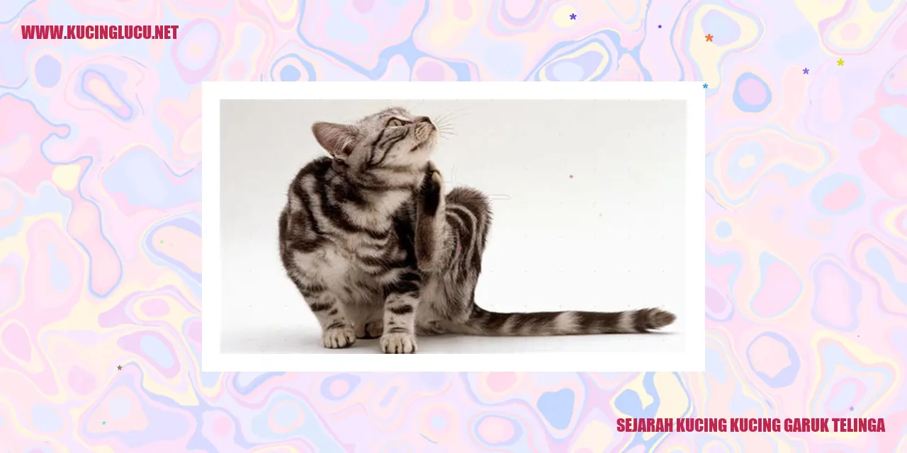 Gambar Kucing Menyeka Telinga