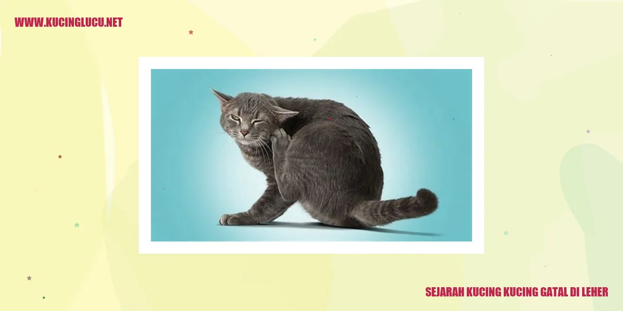 Gambar Kucing Gatal di Leher