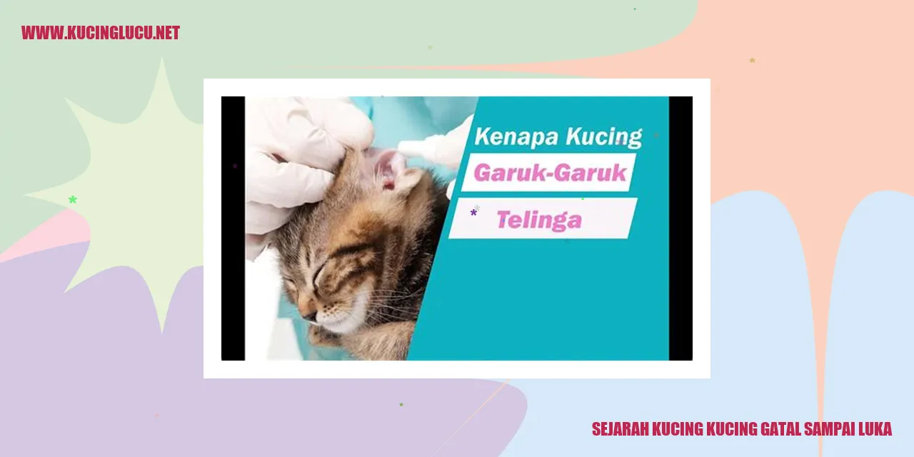 Sejarah Kucing Kucing Gatal sampai Luka