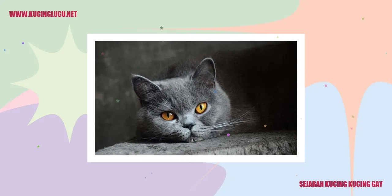 Sejarah Kucing Kucing Gay