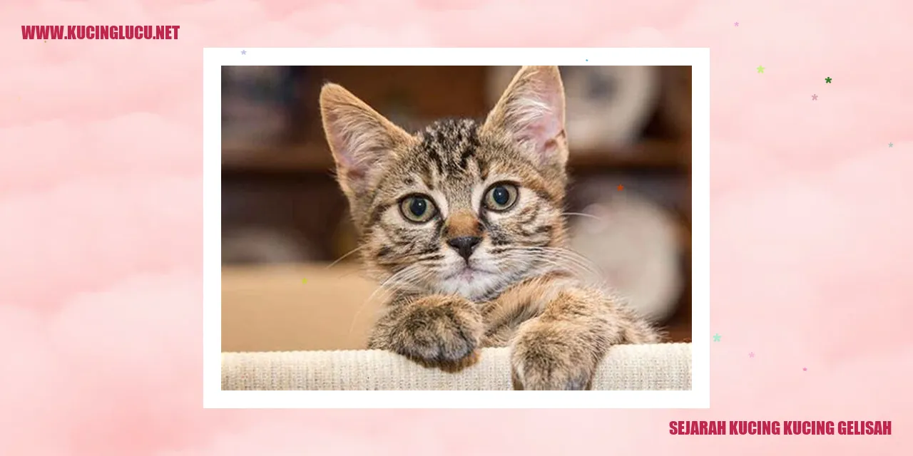 Sejarah Kucing Kucing Gila