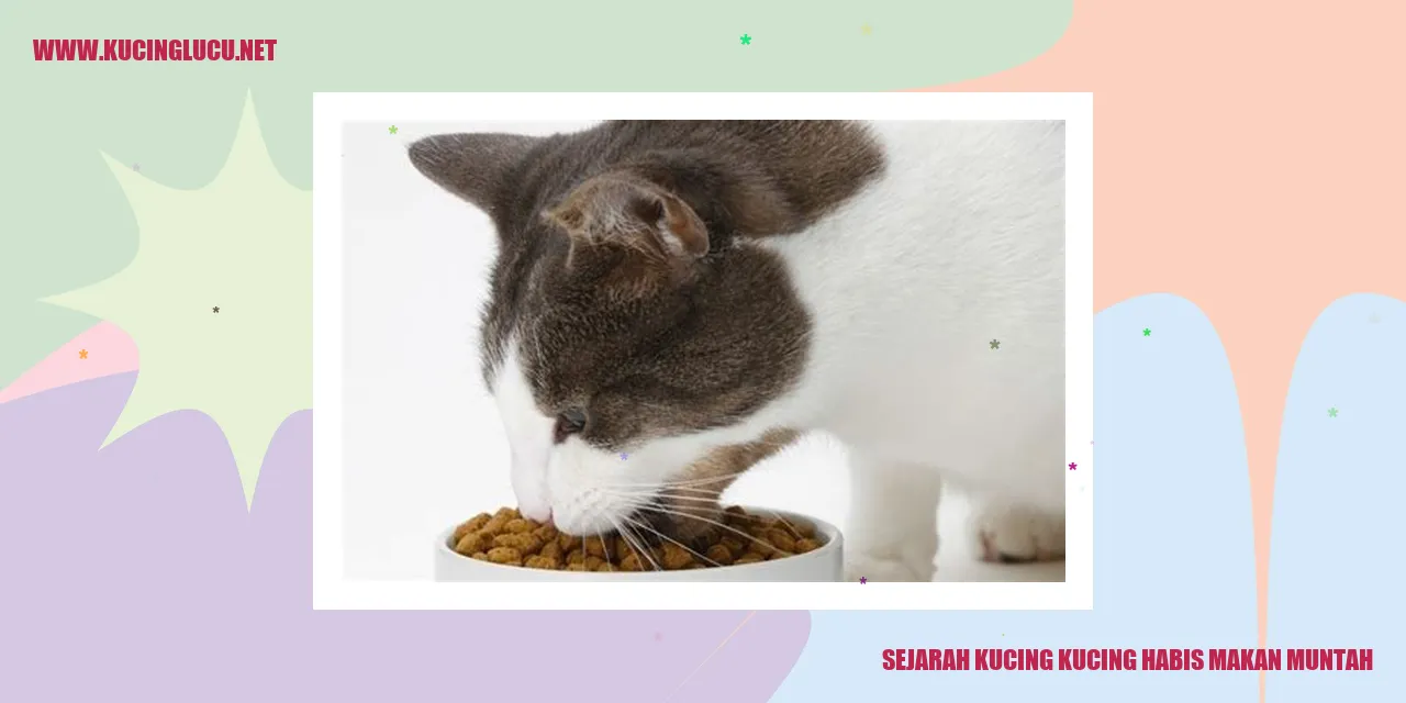 Ilustrasi Kucing Muntah