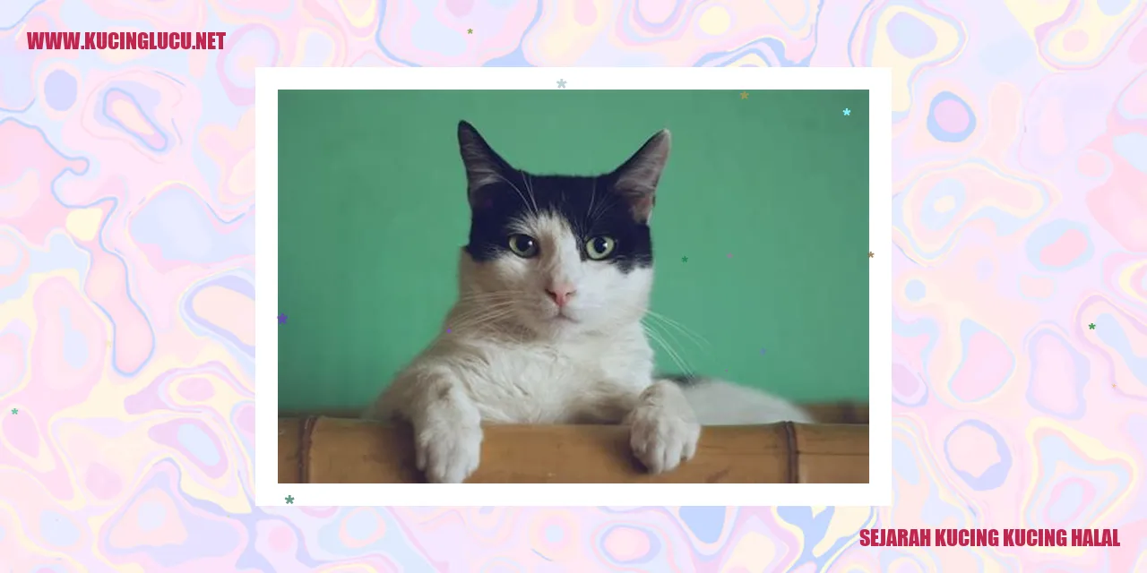 Sejarah Kucing Kucing Halal