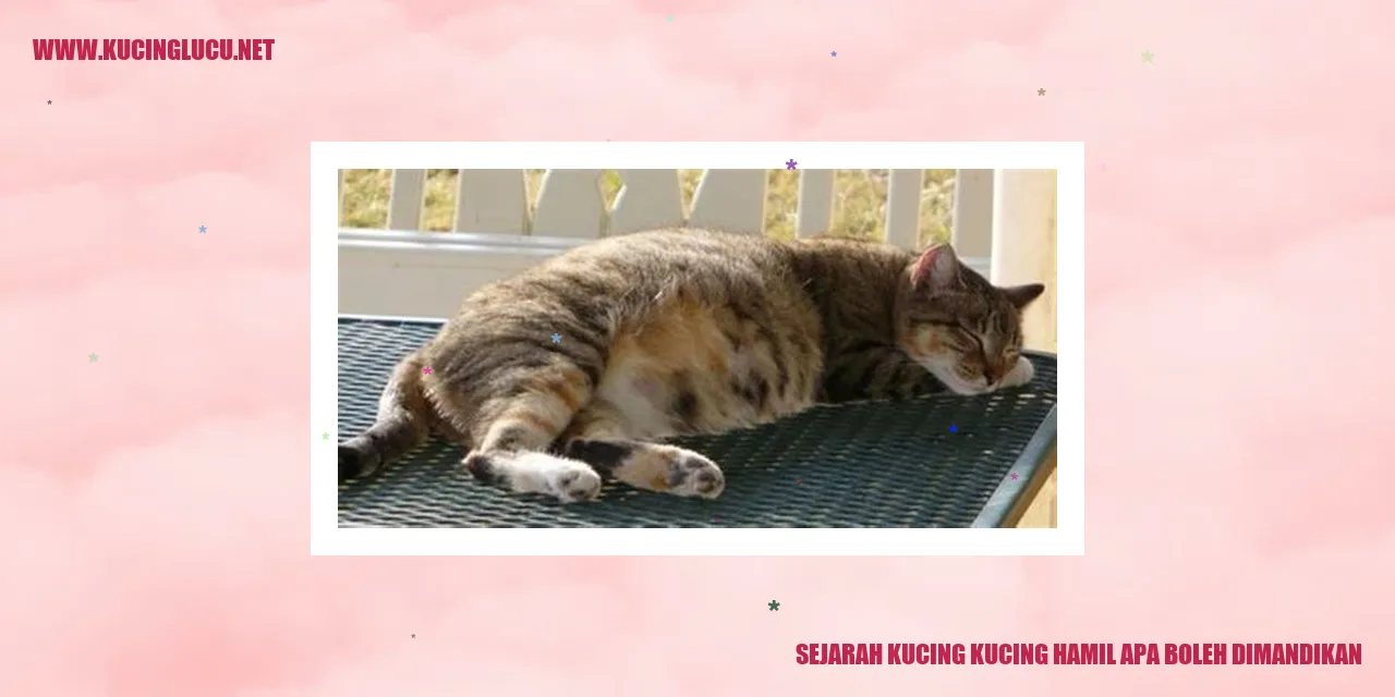 Sejarah Kucing dan Apakah Kucing Hamil Boleh Dimandikan?