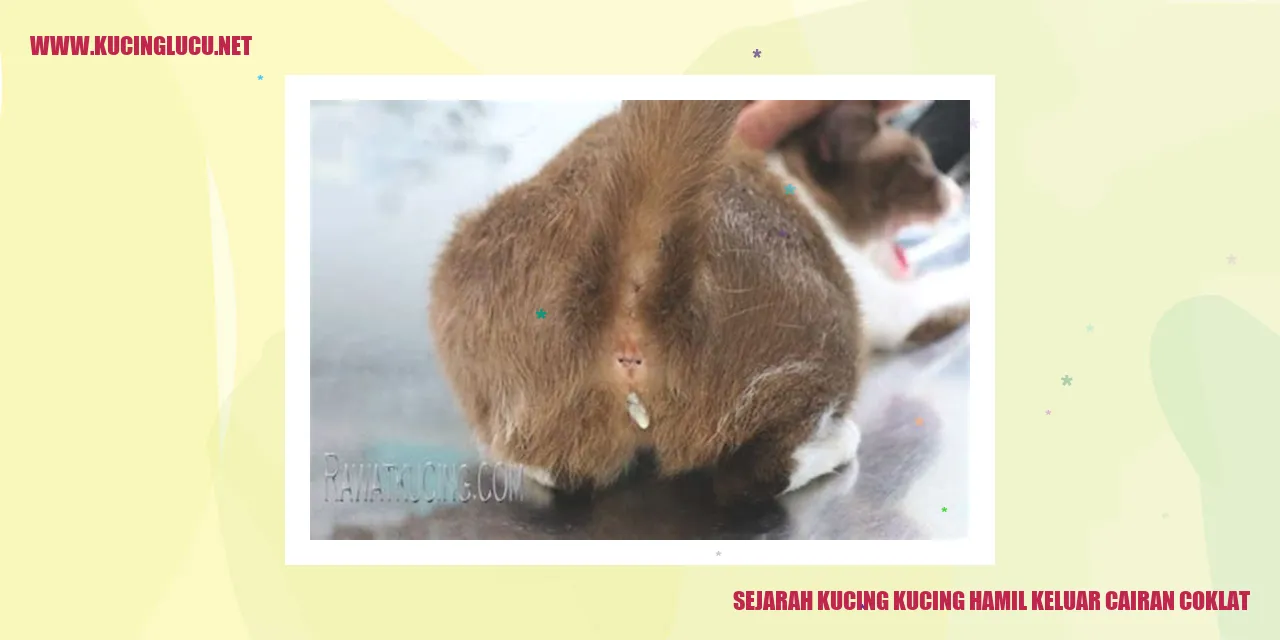 Sejarah Kucing Hamil Keluar Cairan Coklat