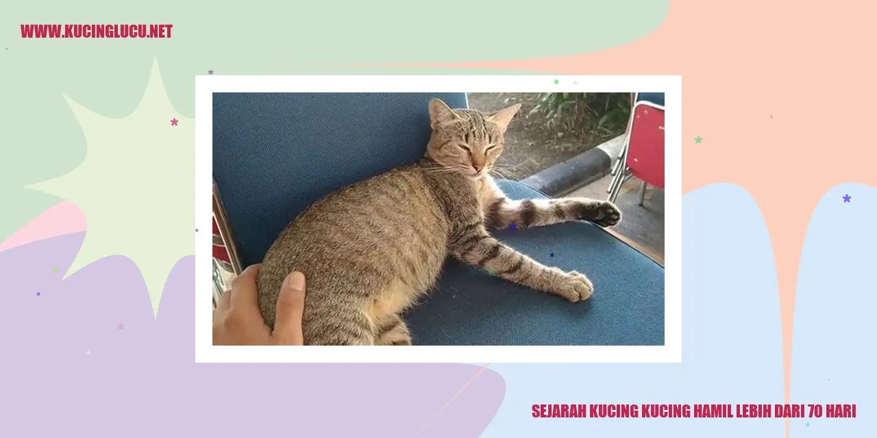 Sejarah Kucing Kucing Hamil Lebih dari 70 Hari