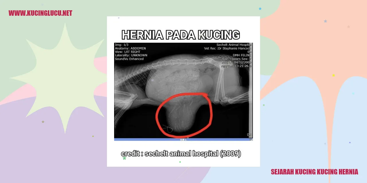 Sejarah Kucing Kucing Hernia