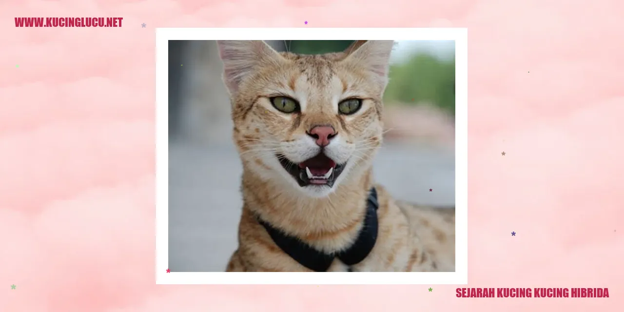 Kucing-Kucing Hibrida