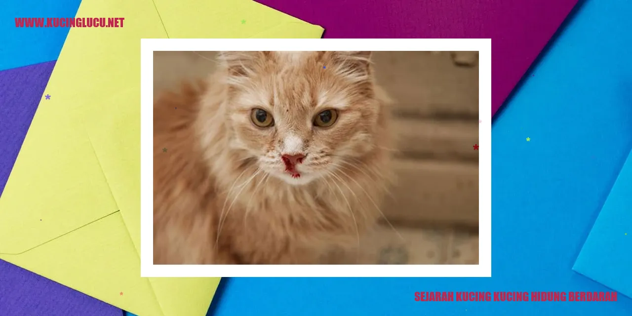 Gambar Kucing Kucing Berhidung Merah