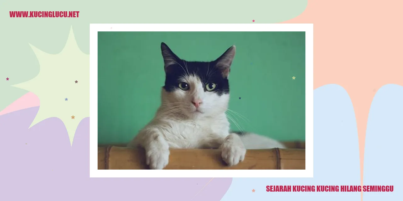 Sejarah Kucing kucing hilang seminggu