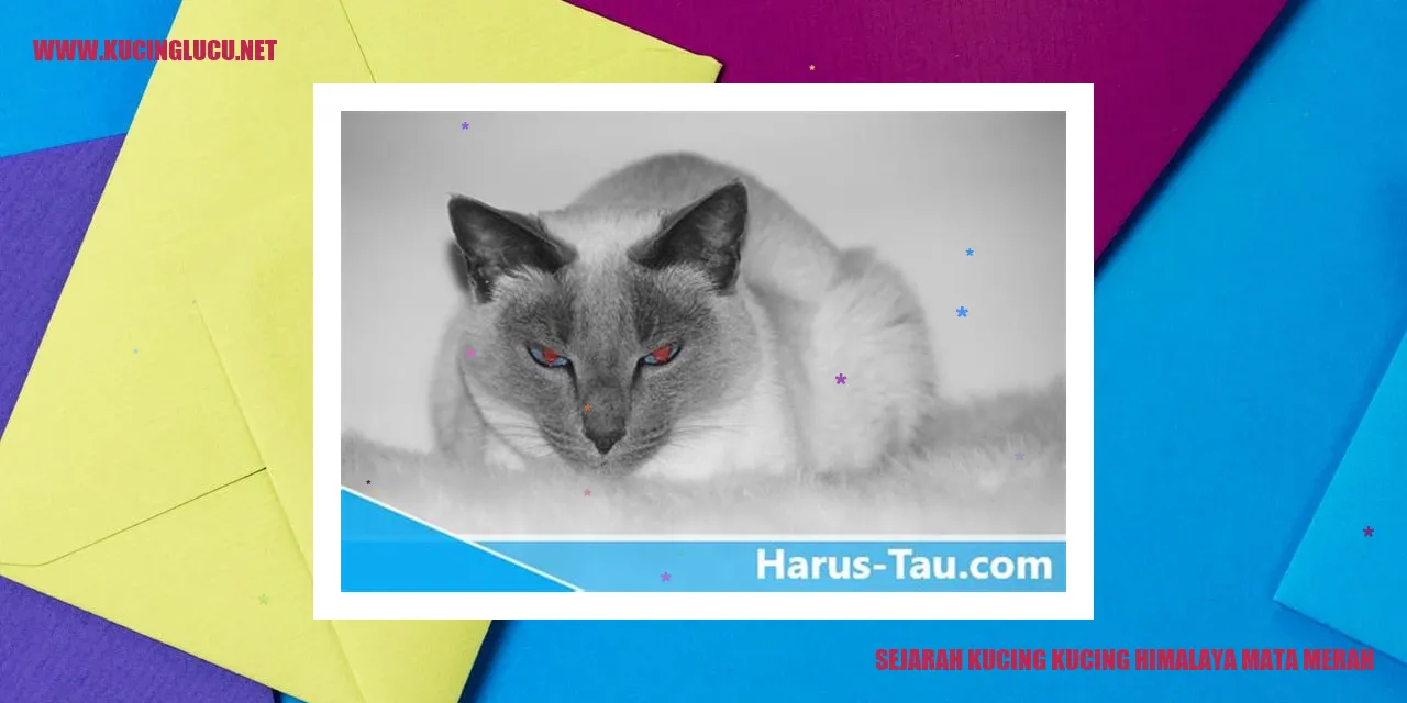 Sejarah Kucing Himalaya Mata Merah