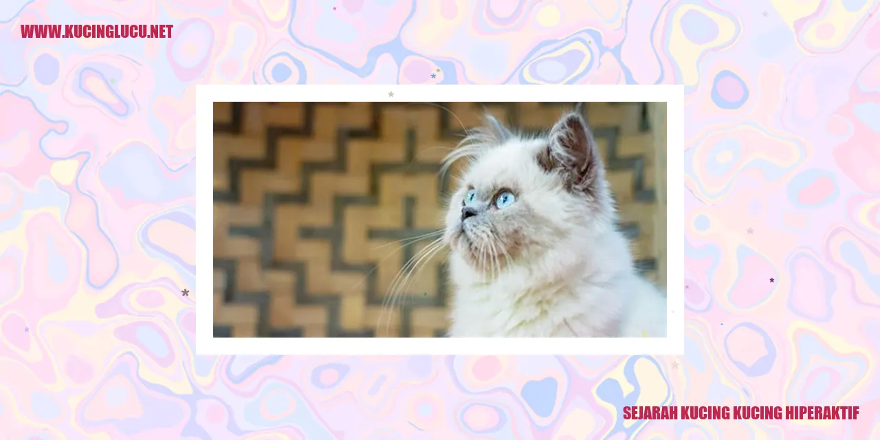 Gambar Kucing Hiperaktif