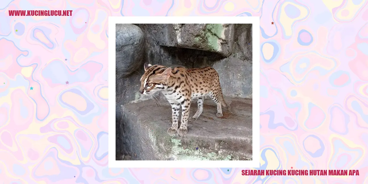 Gambar Kucing Hutan