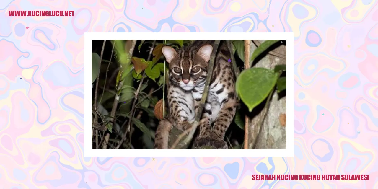 Kucing Hutan Sulawesi